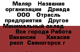 Маляр › Название организации ­ Дриада, ООО › Отрасль предприятия ­ Другое › Минимальный оклад ­ 18 000 - Все города Работа » Вакансии   . Хакасия респ.,Саяногорск г.